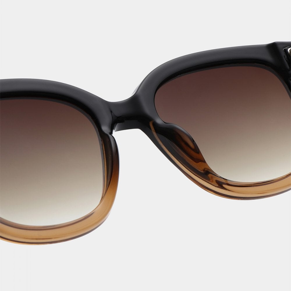 Billy Sunglasses - Black / Brown Transparent