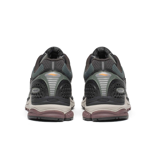 Progrid Triumph 4 CS