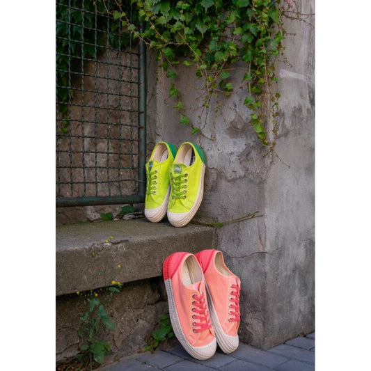 Star Master Duo - Camelia