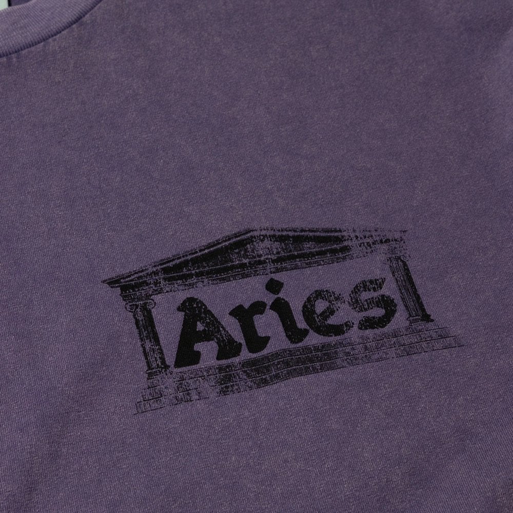 Aged Ancient Temple Ss Tee