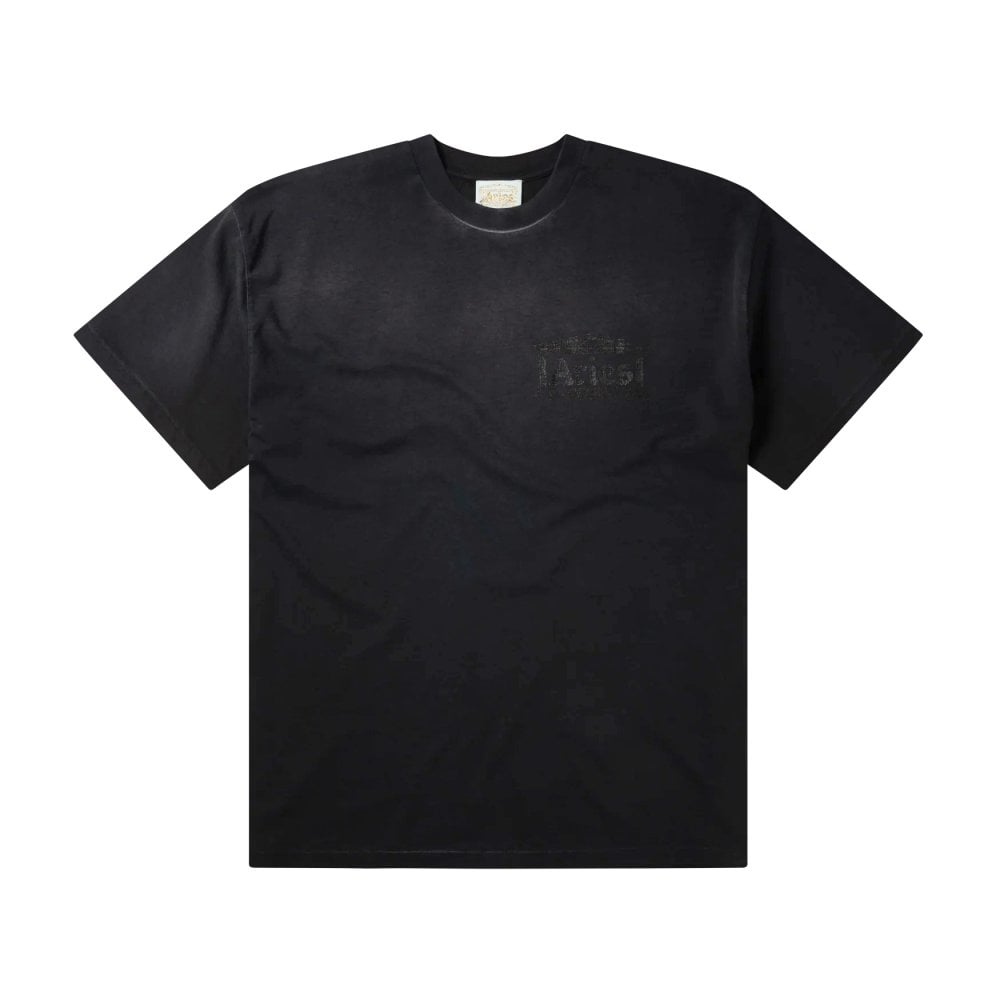 Sunbleached Ancient Temple Ss Tee
