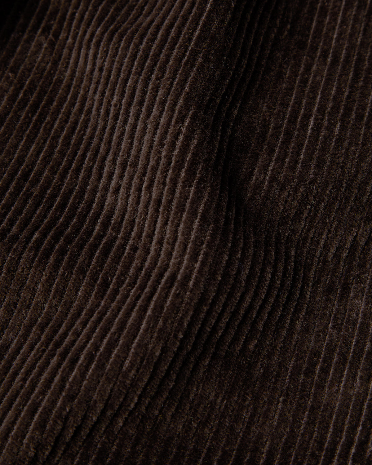 Minor Chords Corduroy Pants - Dark Brown