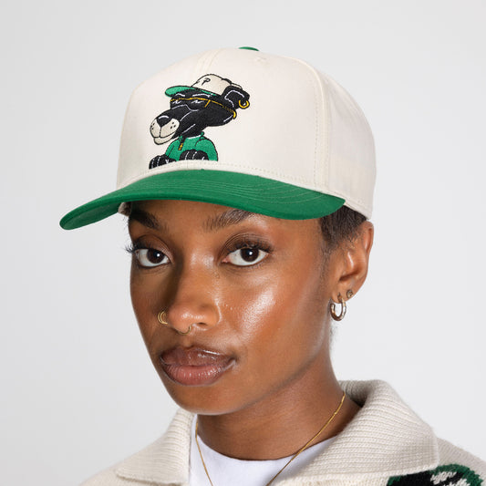 Cartoon Cap - Birch
