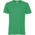 Classic Organic Tee - Kelly Green