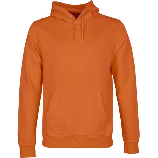 Classic Organic Hood Sweat - Burned Orange