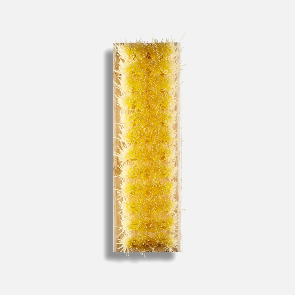 Standard Shoe Cleaning Brush