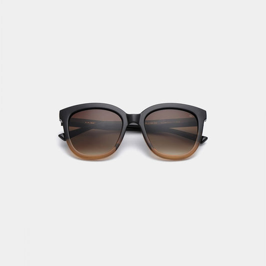Billy Sunglasses - Black / Brown Transparent