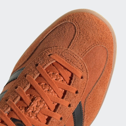 Gazelle Indoor