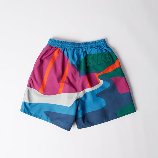 The Festival Fence Swim Shorts