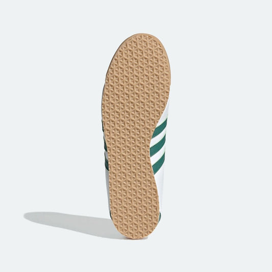 Italia 70's - Cloud White / Collegiate Green / Gum