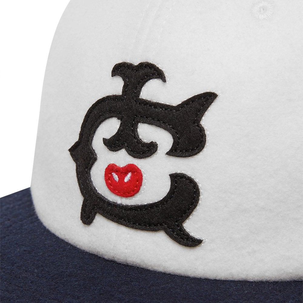 IC 6 Panel Cap