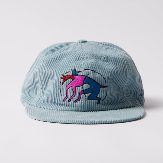 The Zoomies 6 Panel Hat