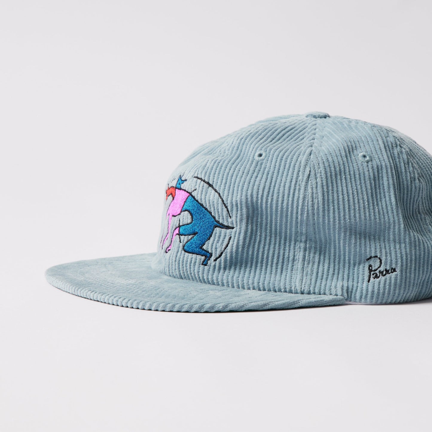 The Zoomies 6 Panel Hat
