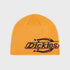 Summerdale Logo Beanie, Autumn Maple