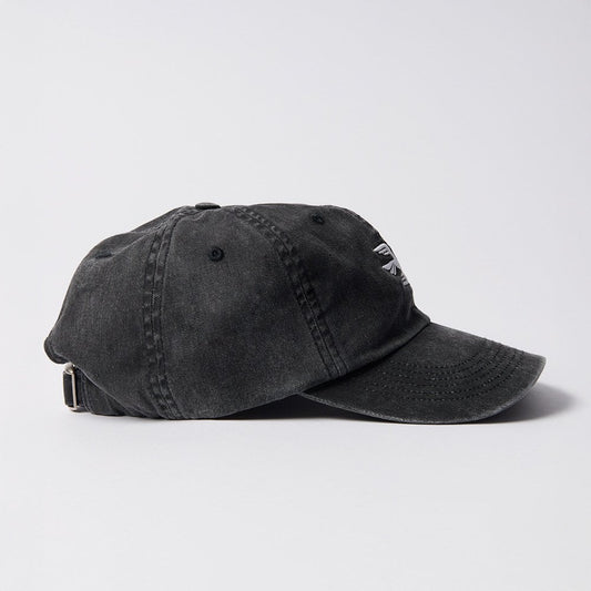 Infinite 6 Panel Hat