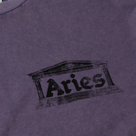 Aged Ancient Temple Ss Tee