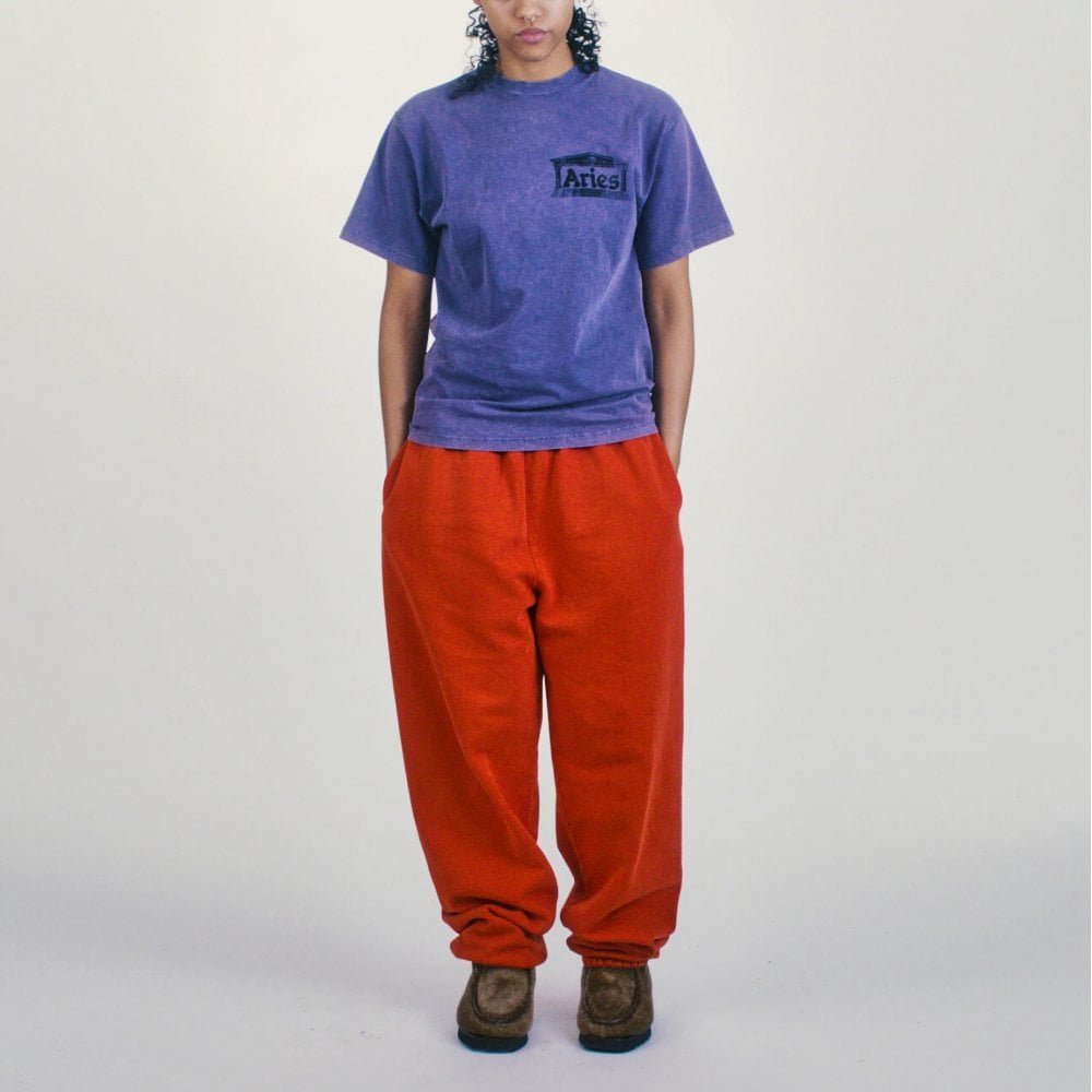 Aged Ancient Temple Ss Tee