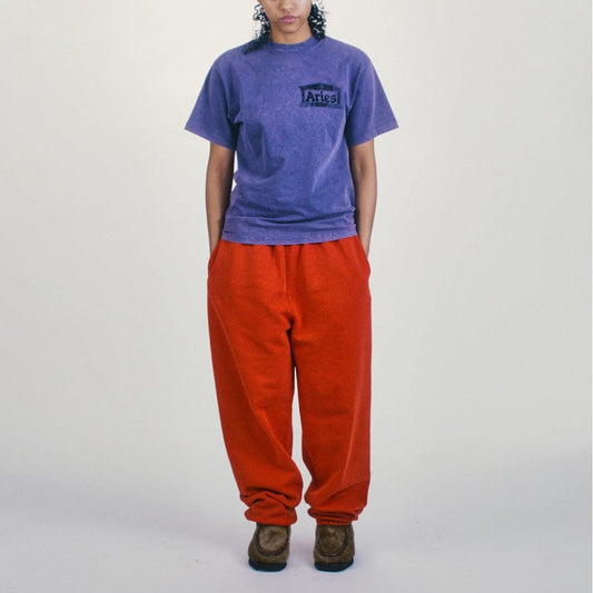Aged Ancient Temple Ss Tee