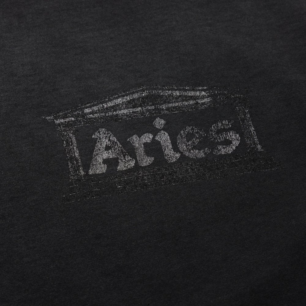 Sunbleached Ancient Temple Ss Tee