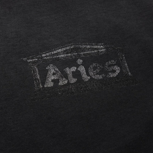 Sunbleached Ancient Temple Ss Tee