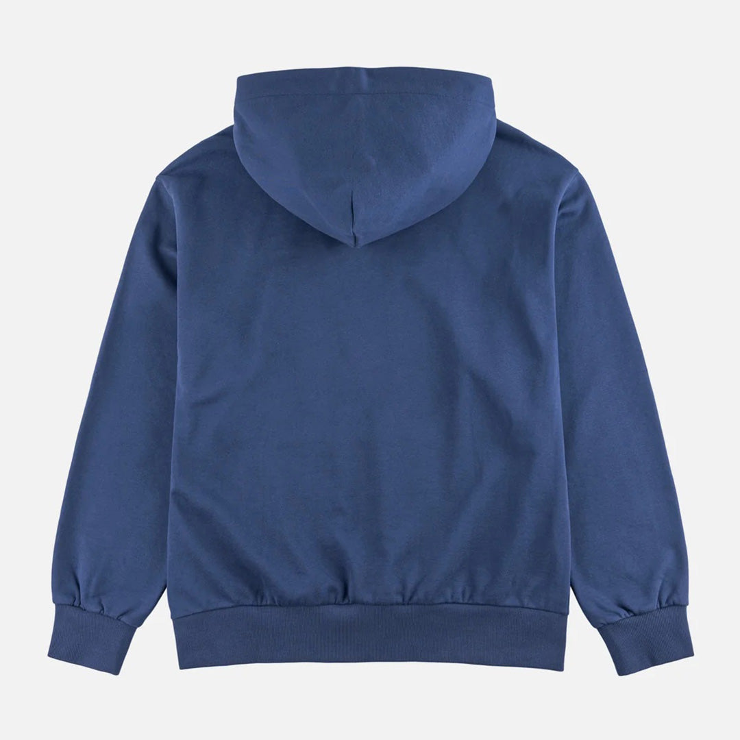 3D Pattern Filled Seagull Hoodie - Blue