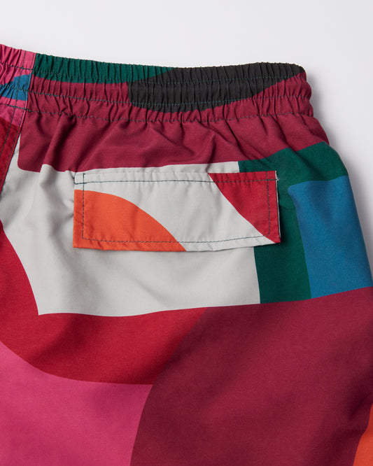 Ball to the Face Swim Shorts - Multi