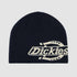 Summerdale Logo Beanie - Night Sky