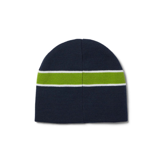 Frequency Skull Beanie - Navy