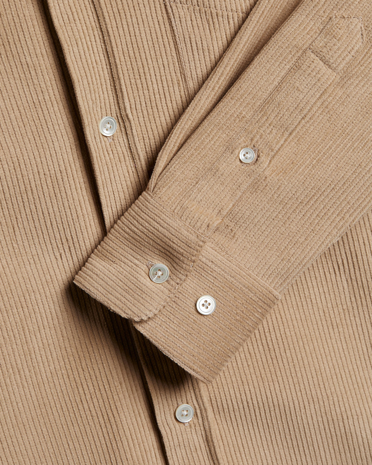 Lobo - Beige