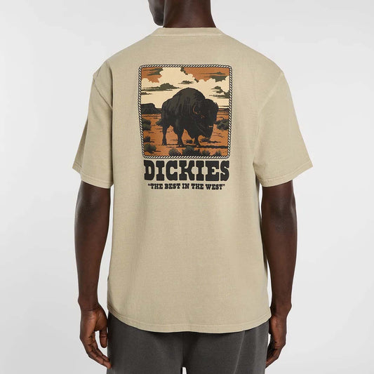 Darrtown SS Tee - Eucalyptus